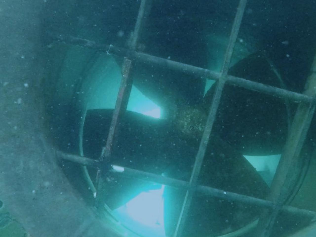 Putnički brod - Bow thruster